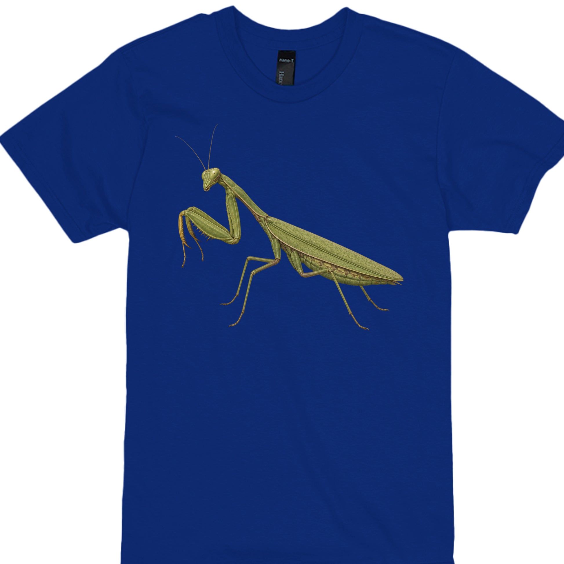 DEEP ROYAL - 4980 - FRONT