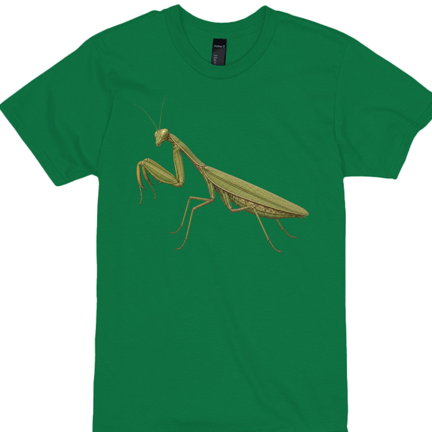 KELLY GREEN - 4980 - FRONT