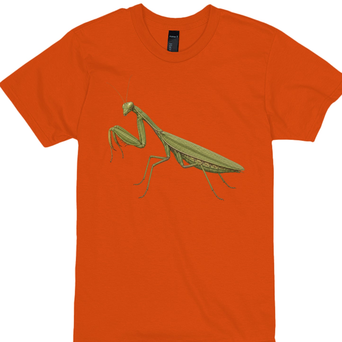 ORANGE - 4980 - FRONT
