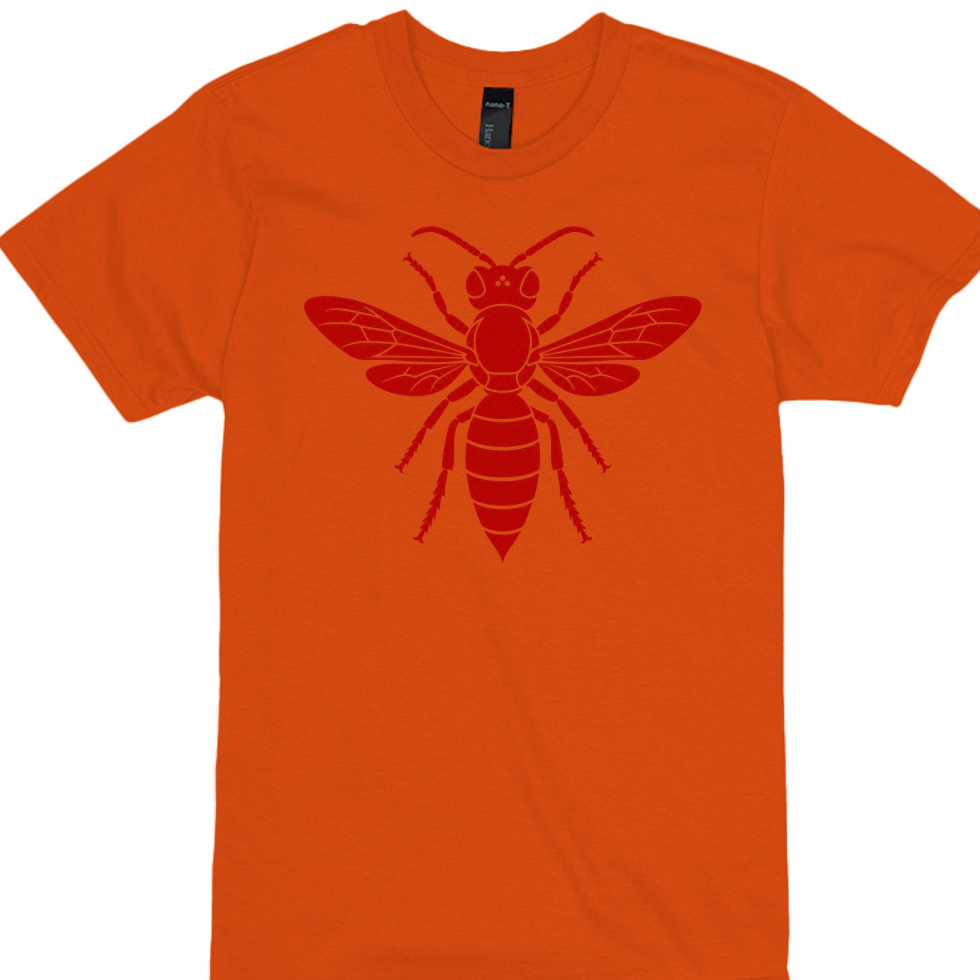 ORANGE - 4980 - FRONT
