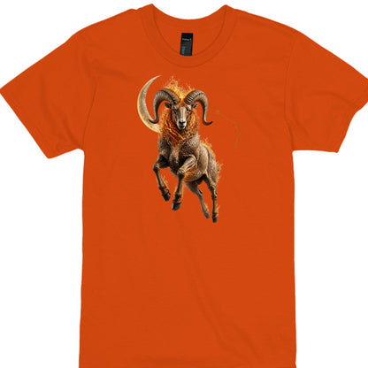 ORANGE - 4980 - FRONT