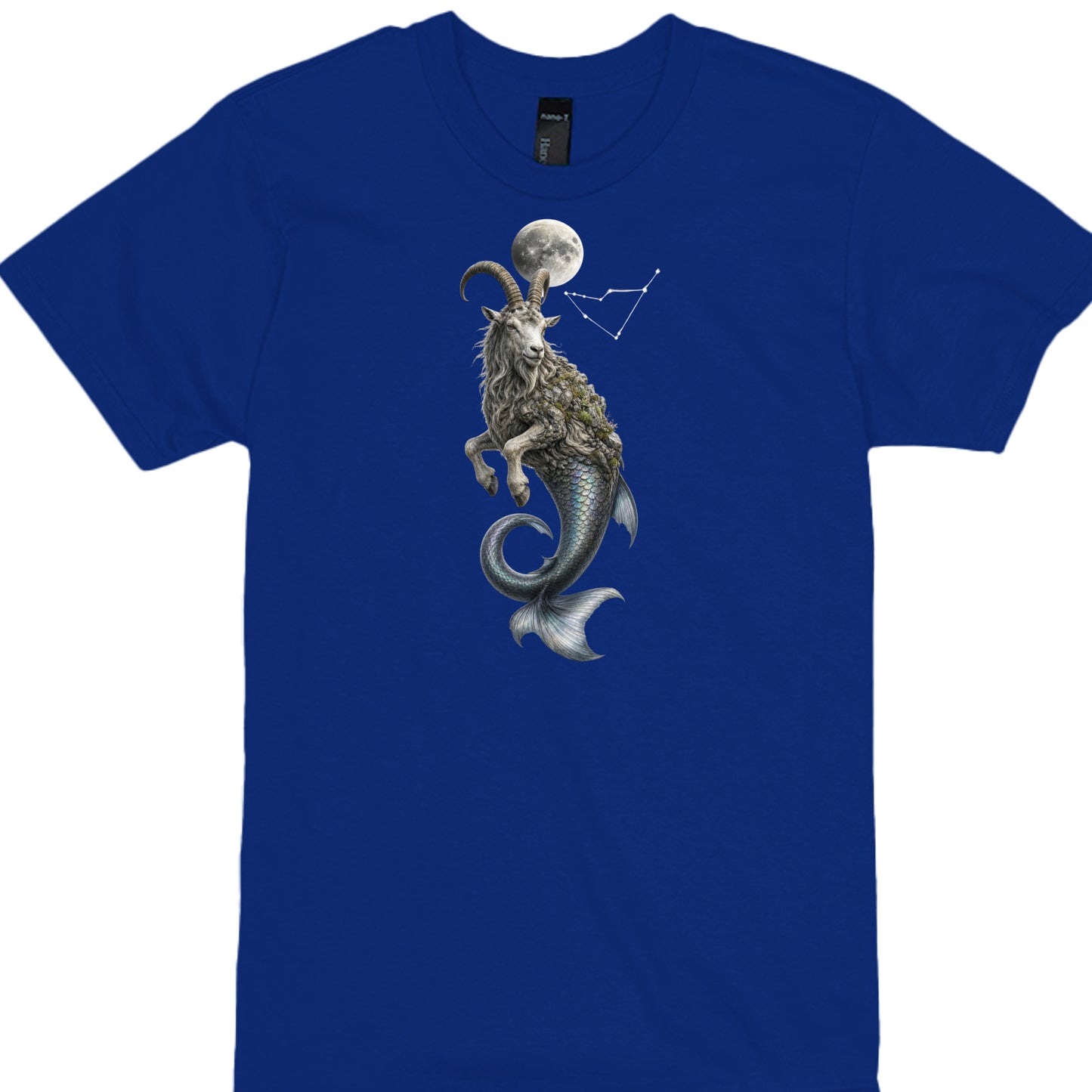 DEEP ROYAL - 4980 - FRONT