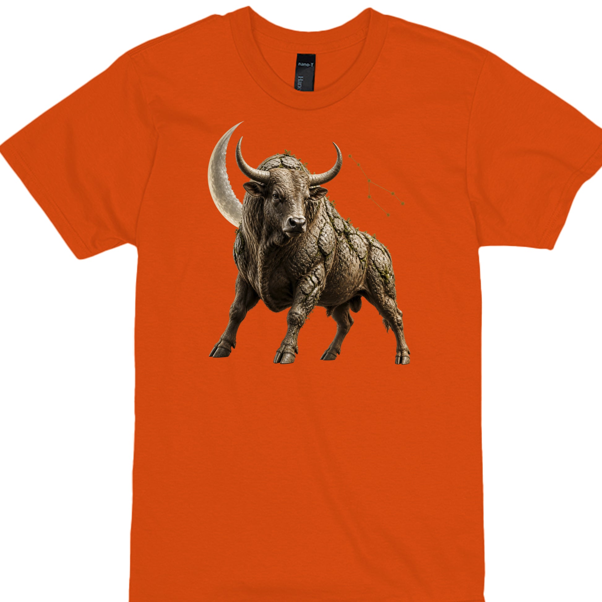 ORANGE - 4980 - FRONT