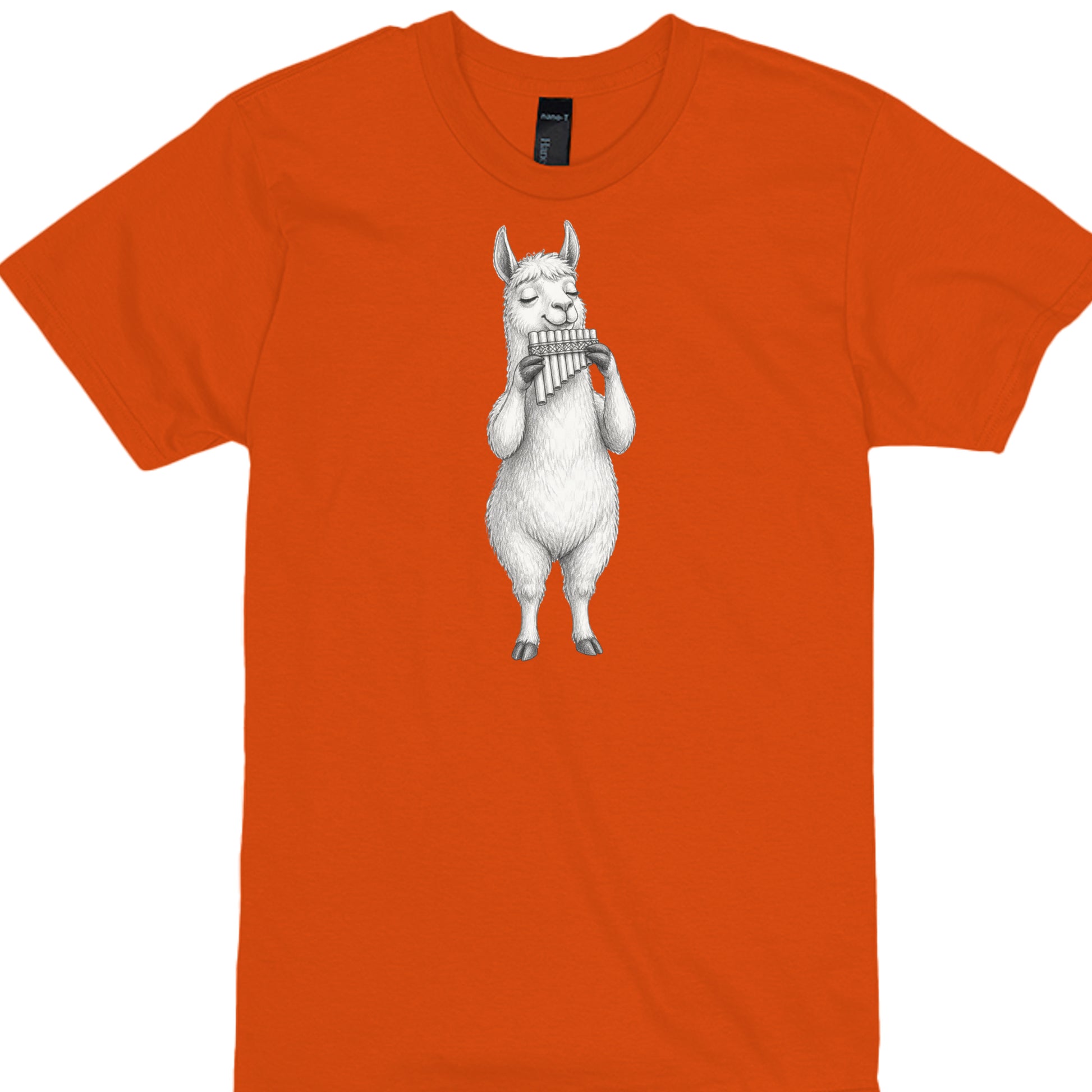 ORANGE - 4980 - FRONT