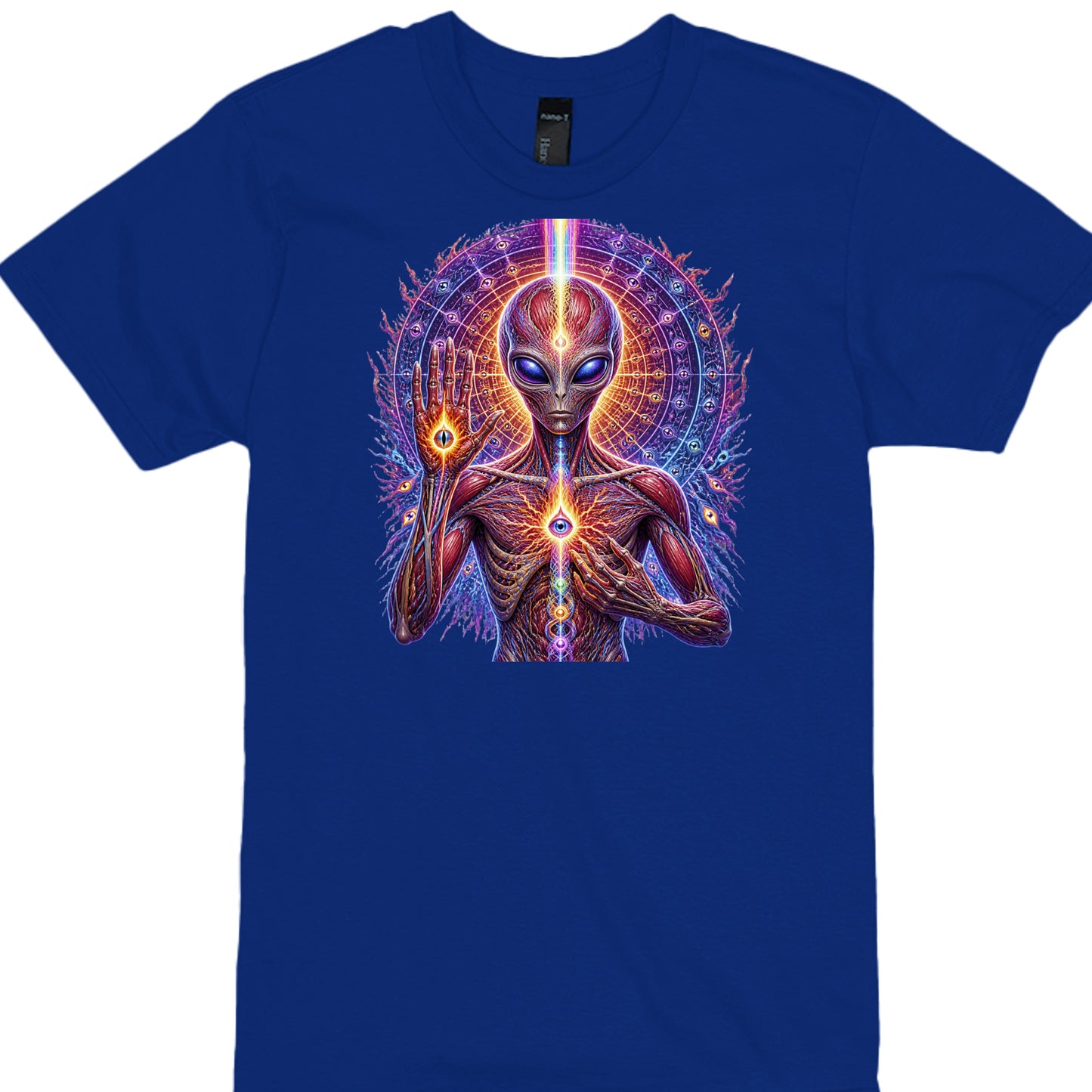 DEEP ROYAL - 4980 - FRONT