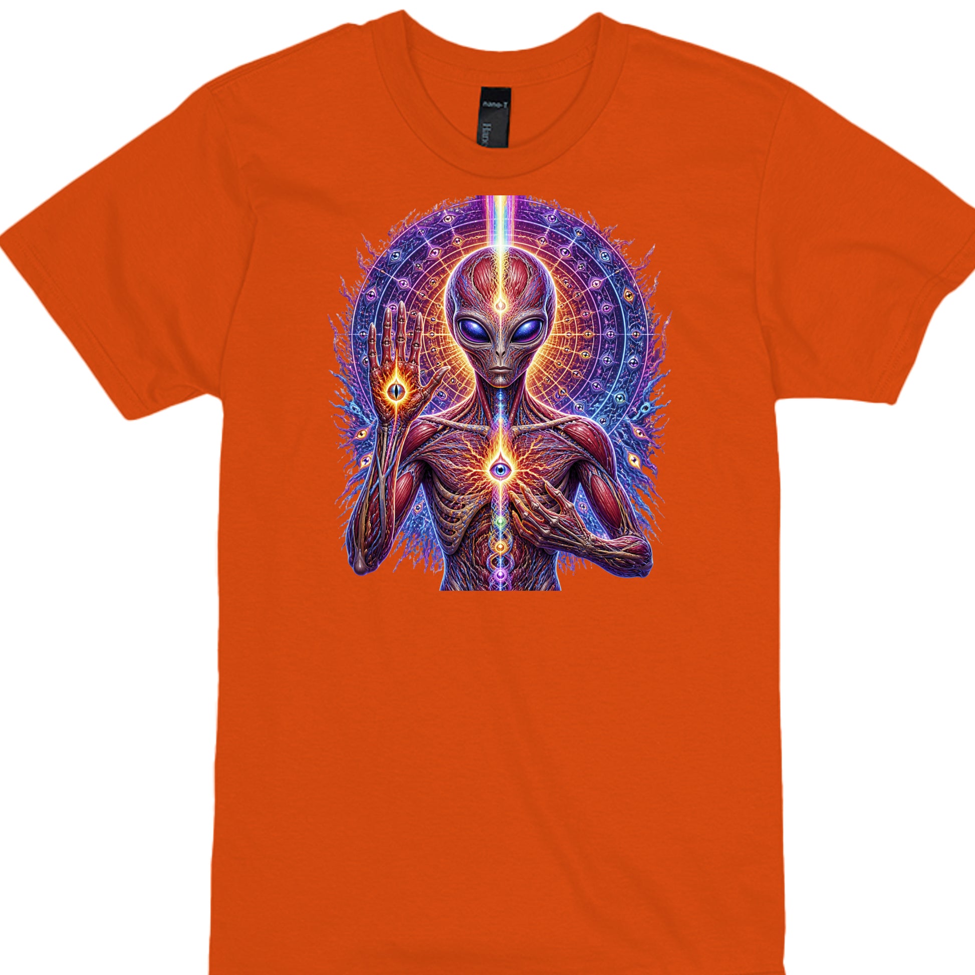 ORANGE - 4980 - FRONT