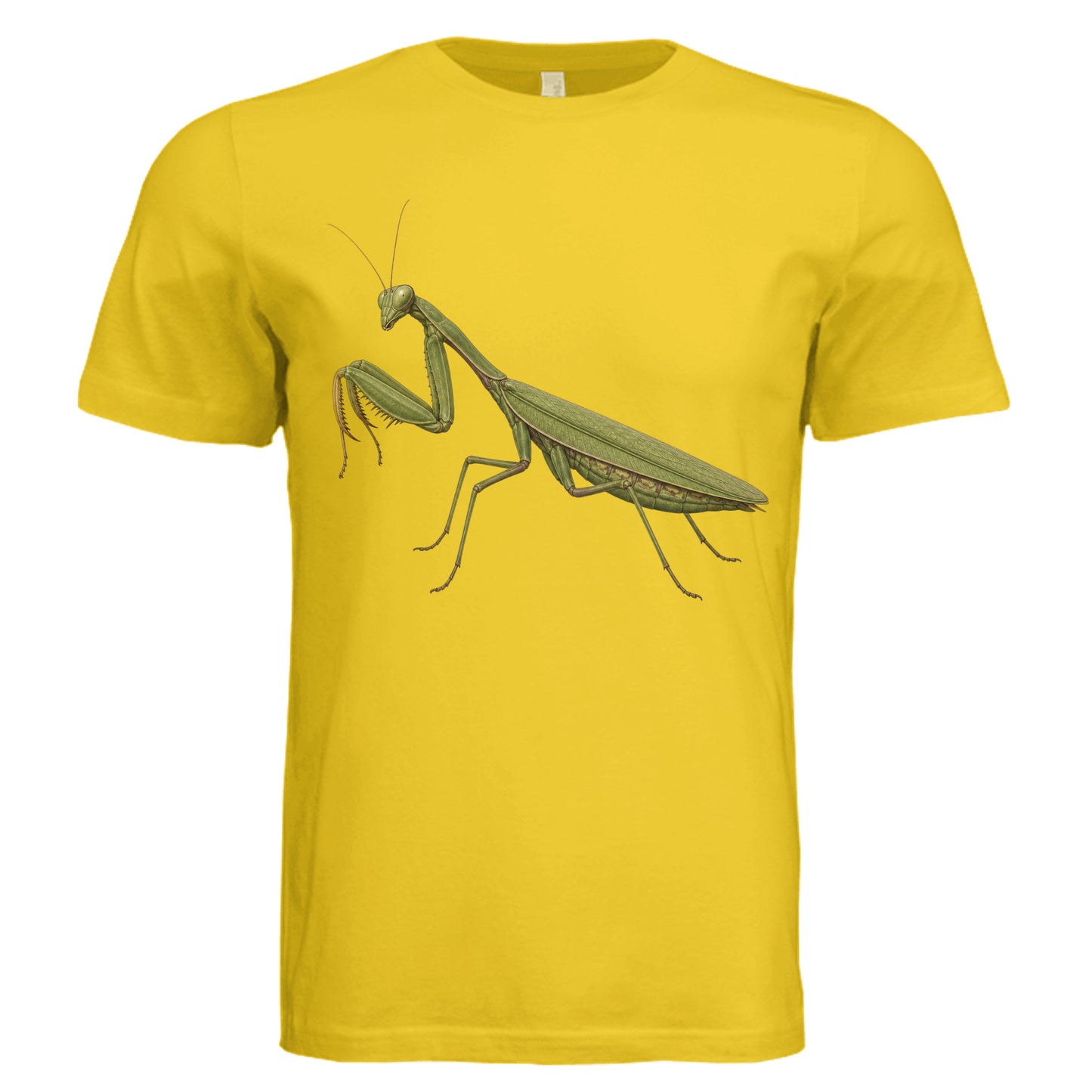 MAIZE YELLOW - 3001C - FRONT