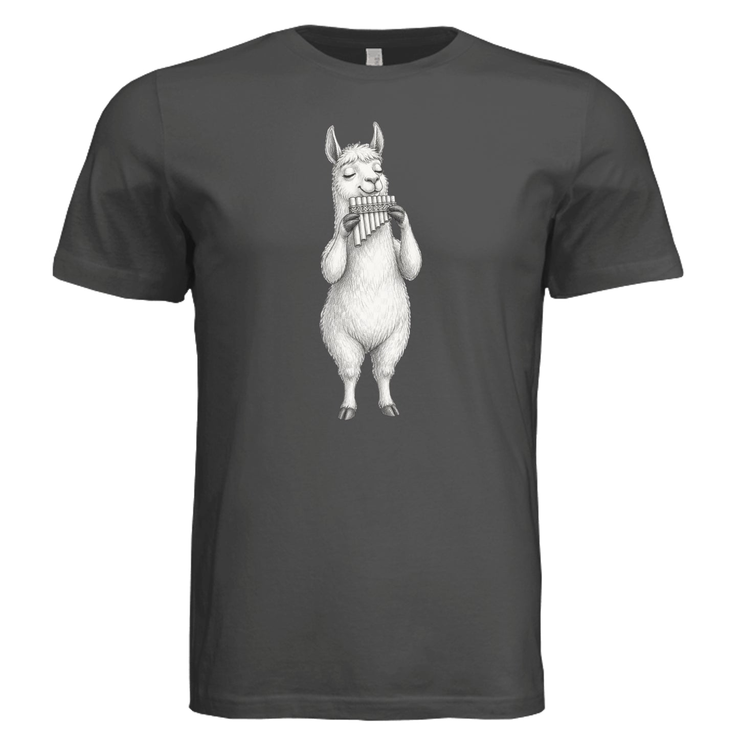 DARK GREY - 3001C - FRONT