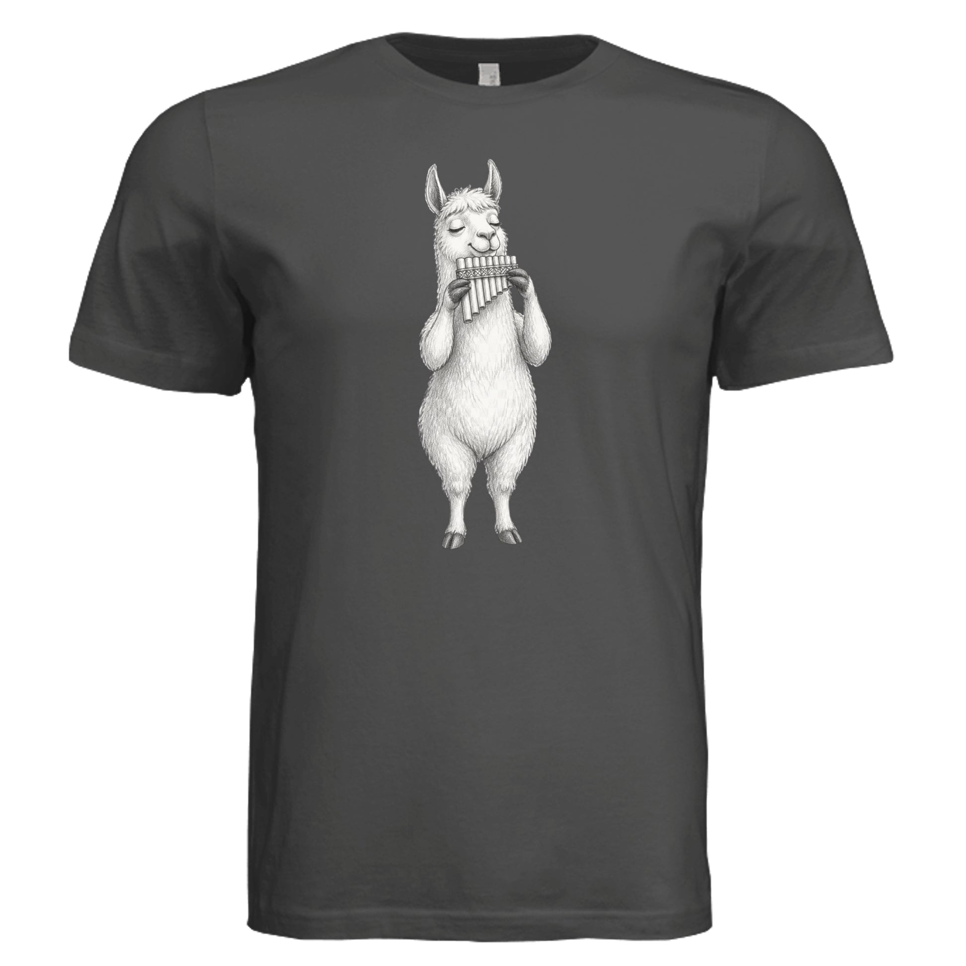 DARK GREY - 3001C - FRONT